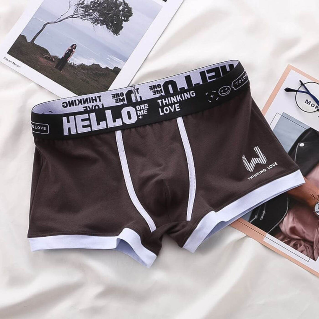 Gerwin - Waistband Comfortable Boxer Underwear