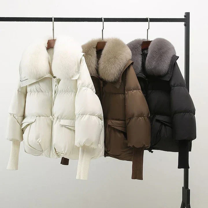 Cersei - Long Sleeve Zipper Jacket